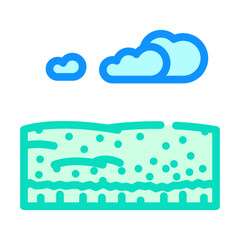 field barley green color icon vector. field barley green sign. isolated symbol illustration