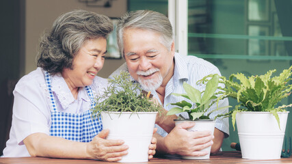 Asian senior couple smile watering plants take care of trees , happy couple gardening - lifestyle senior concept