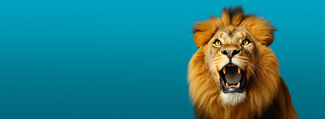 Studio portrait of surprised lion on bright colors studio banner with empty copyspace