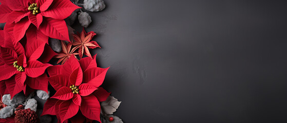minimalistic background with poinsettia Christmas star, top view with empty copy space - obrazy, fototapety, plakaty