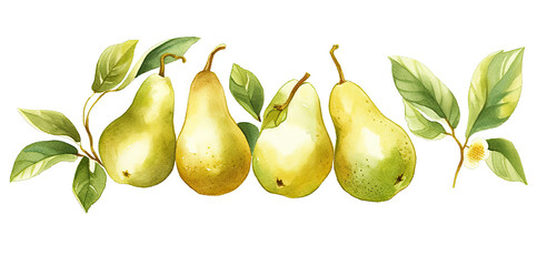 Obraz premium Pears on a white background. 