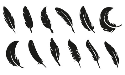 set of feather, Birds feather vector set