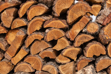 Closeup full frame shot of chopped wooden logs at Altai Republic