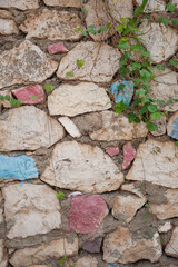 Ancient wall background with old colorful bricks and plant