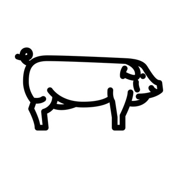 landrace pig breed line icon vector. landrace pig breed sign. isolated contour symbol black illustration