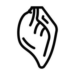 ear pig animal line icon vector. ear pig animal sign. isolated contour symbol black illustration