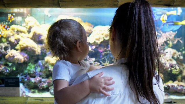 Young mother holds little girl in arms while standing in front of aquarium. Brunette mom shows child different fish swimming in zoo aquarium