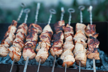 Lots of metal skewers with meat cooking on coals. Cooking pork barbecue.