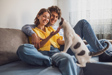 Portrait of young happy couple and their cat at home.