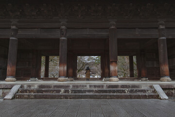 京都 南禅寺冬景色 三門