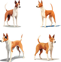 Ibizan Hound dog breed collection in many action. Graphic resource about set for vector