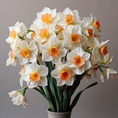 Fototapeta na wymiar Spring Flowers Narcissus ,Hd, On White Background