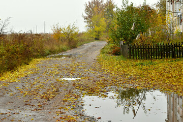 Autumn landscape. Fallen leaves covered the road and the puddle.