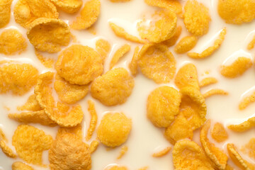 Background and texture of corn flakes with milk. Morning breakfast