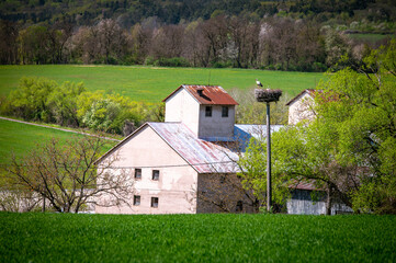 Farm landscape and stork in the nest, beautiful spring photo with green meadows and blooming flowers