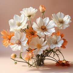 View Beautiful Blooming Flowers ,Hd, On White Background