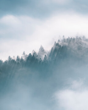 View of cloud sea from Velika Planina in Kamnik, Slovenia.