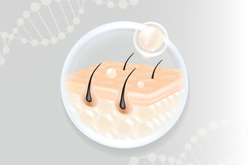 Hyaluronic acid hair and skin solutions ad, white collagen serum drops into skin cells with anti-aging cosmetic advertising background ready to use, illustration vector.