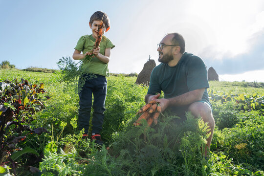 Father looking at son holding carrot standing in vegetable garden