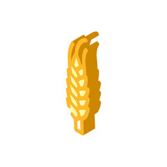 yellow barley plant isometric icon vector. yellow barley plant sign. isolated symbol illustration