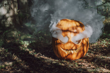 Smoke releasing from carved Jack O' Lantern in forest