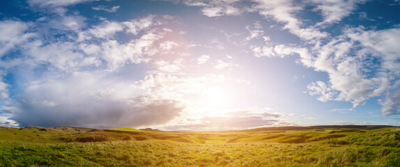 Tranquil morning meadow with vibrant fields under blue summer sky.