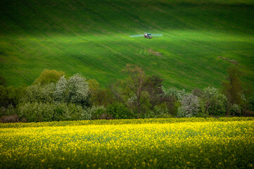 Green Pastures in Bloom: Tractor on a Springtime Stroll