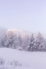 Bansko, Bulgaria resort panorama with snow cannon