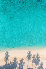 Beach palm trees on the sunny sandy beach turquoise ocean from above. Amazing popular summer nature landscape. Majestic sunny beach coastline, relaxing peaceful and inspirational best beach vacation