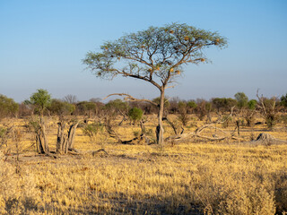 Botswana