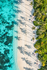 Aerial summer top view on sand beach. Tropical beach white sand turquoise sea palm tree shadows under sunlight. Drone luxury paradise travel destination vacation landscape. Amazing nature island coral