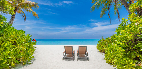 Best beach vacation background. Couple destination, coconut palm trees sandy coast leisure...