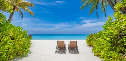 Poster Best beach vacation background. Couple destination, coconut palm trees sandy coast leisure wellbeing panorama. Tropical landscape, summer travel popular scene. Tranquil chairs umbrella sunny paradise © icemanphotos