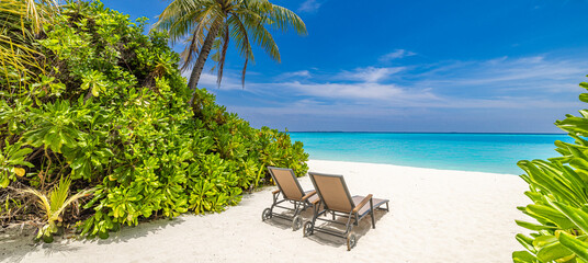 Best beach vacation background. Couple destination, coconut palm trees sandy coast leisure wellbeing panorama. Tropical landscape, summer travel popular scene. Tranquil chairs umbrella sunny paradise