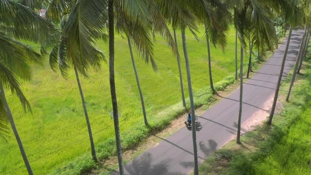 Parra coconut tree road Arial view Travel Couple On Bike Best Goa Public Palace Green Grass And Green Trees Best View In Goa 02