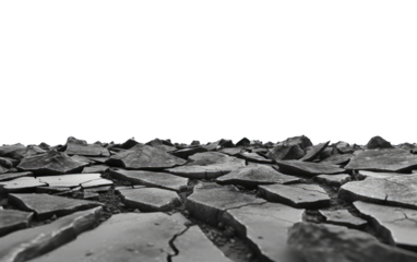 Detailed Portrait of Roadway Components on White or PNG Transparent Background.