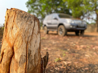 tree stump with blur off road jeep at the background.