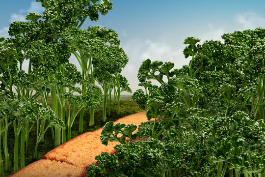 Foodscape 03