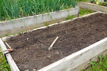 raised wooden bed prepared for sowing seeds. Backyard garden to grow your food with hoe and soil in...