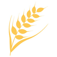 Agriculture wheat vector Illustration design template. elements of wheat grain, wheat ears, seed or rye, prosperity symbol