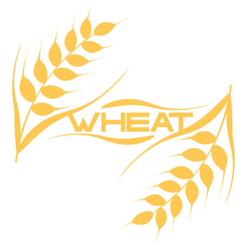 Wheat grain icon logo vector design. Simple logo for farm, pastry, bakery or food product.
