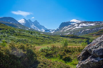 Ekrehytta mountain range seen from Turtagro, Norway at Jotunheimen National Park, with clear skies during a summer day. - Powered by Adobe
