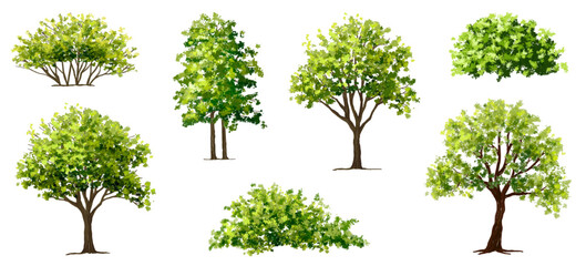Vector watercolor green tree or forest side view isolated on white background for landscape and architecture drawing,elements for environment or garden,botanical element for exterior section in spring