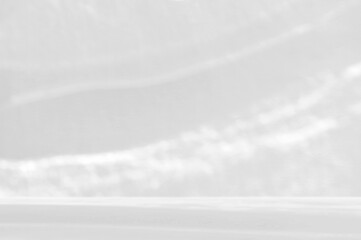 Empty room studio with shadow of leaves effect on the wall and floor for product presentation. Background and backdrop design. Display showroom. 