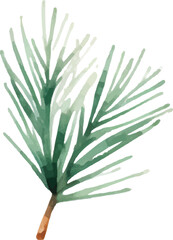 Childishly drawn cute watercolor Christmas pine cones on white background