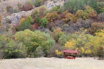Wooden gazebo on the background of a picturesque autumn forest in the vicinity of Beloslav in...