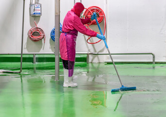 Staff hygien cleaner in protective uniform cleaning floor of food processing plant.