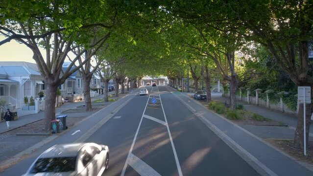 Aerial: Franklin road in the leafy suburb of Ponsonby, Auckland, New Zealand