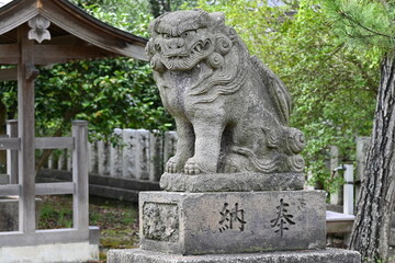 神社の狛犬／獅子