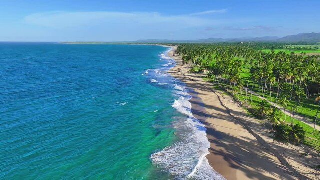 Coconut palms on a large sunny beach with crystal clear Caribbean sea on a tropical island. Scenic scene of summer travel concept in America. Aerial view of blue sea waves off the Atlantic coast.
